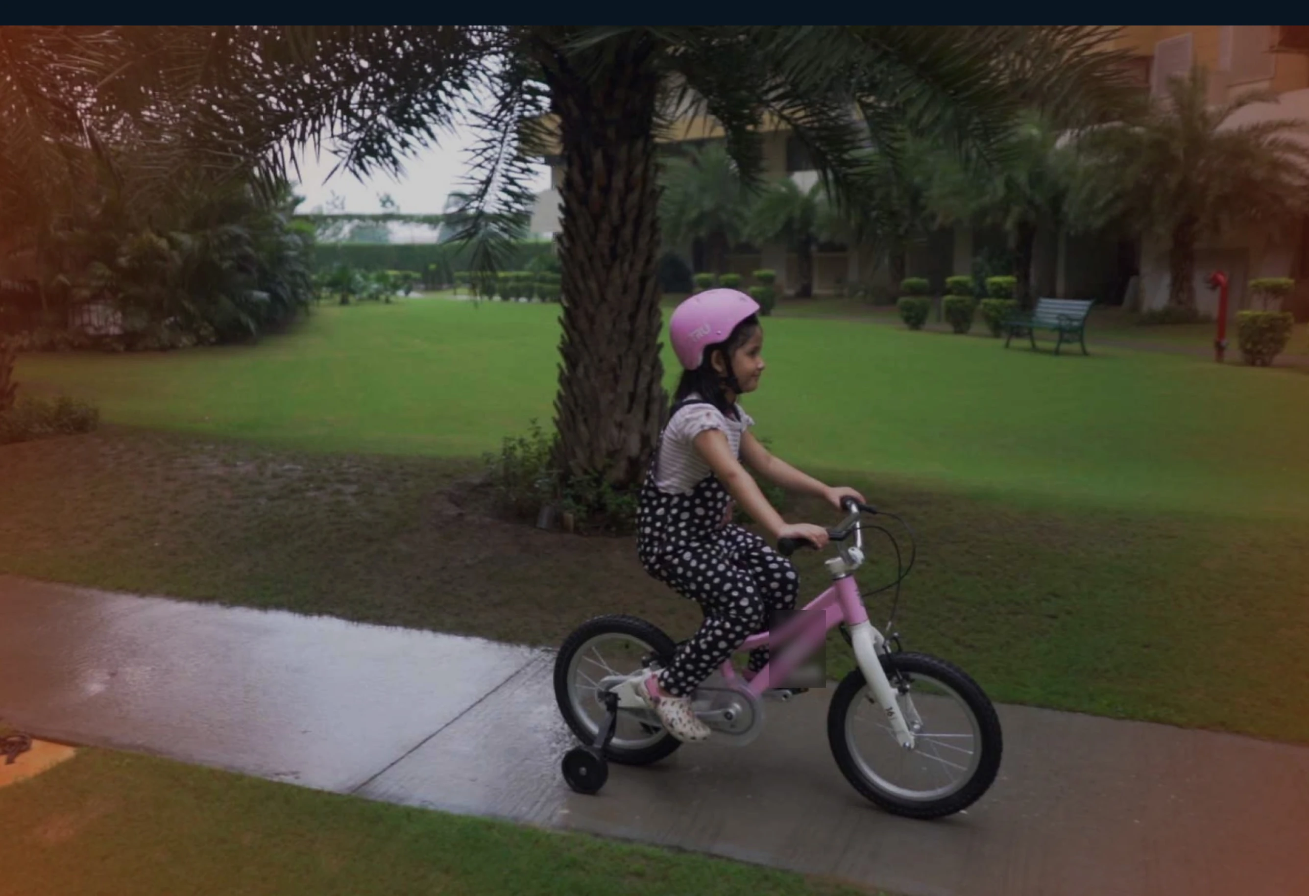 Global Bicycle Brand strategic approach slide 2