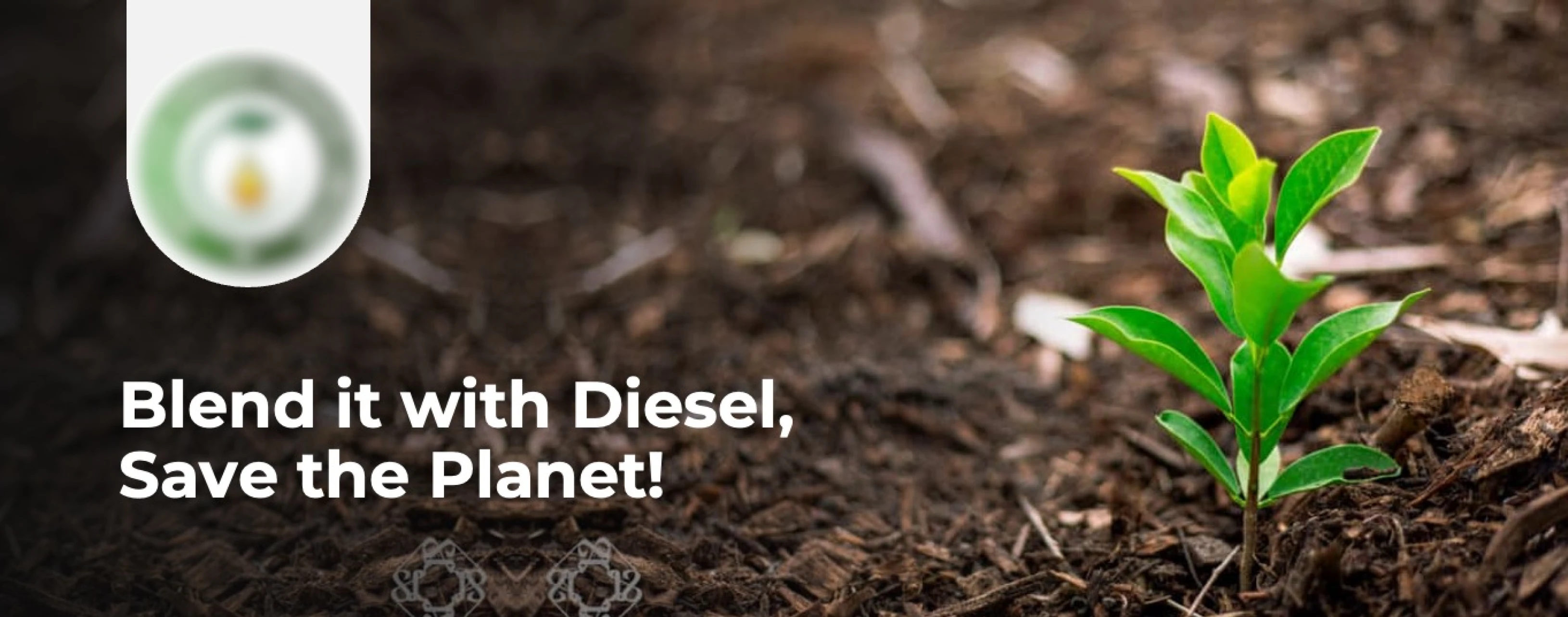 Fundraising Services for Biofuel Manufacturer case study