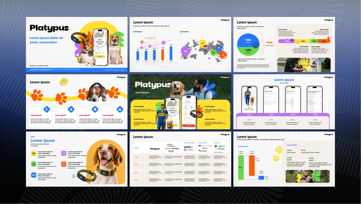 Platypus pitch deck slide 1