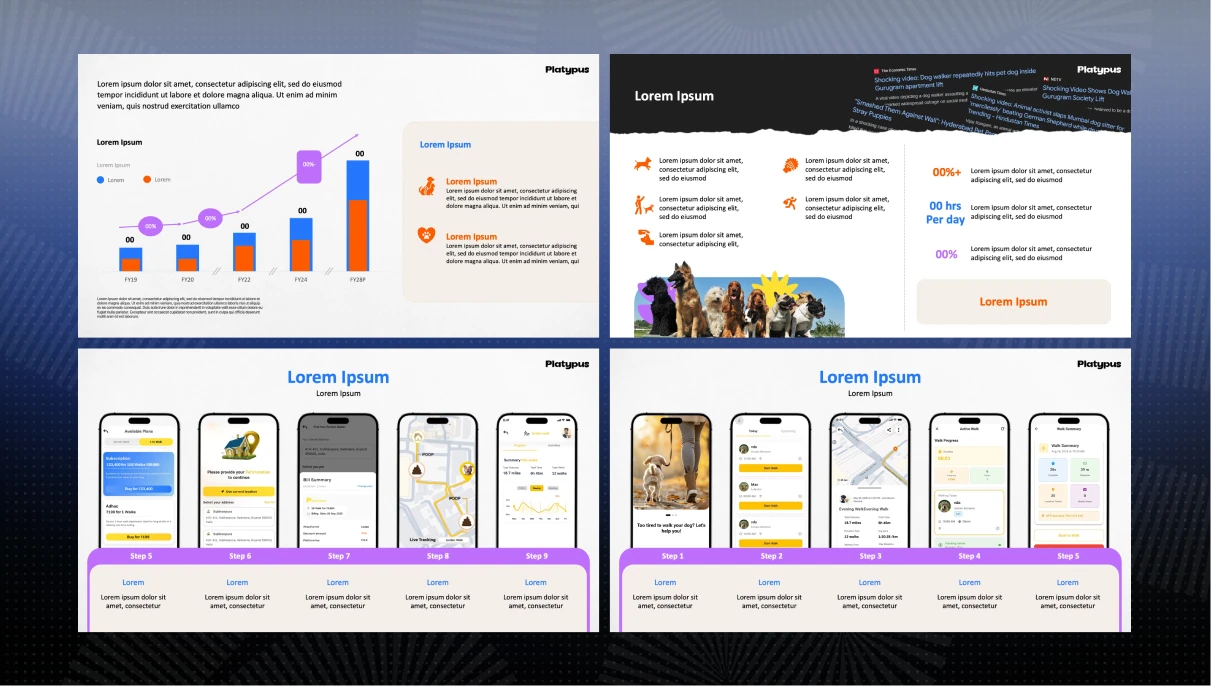 Platypus pitch deck slide 2
