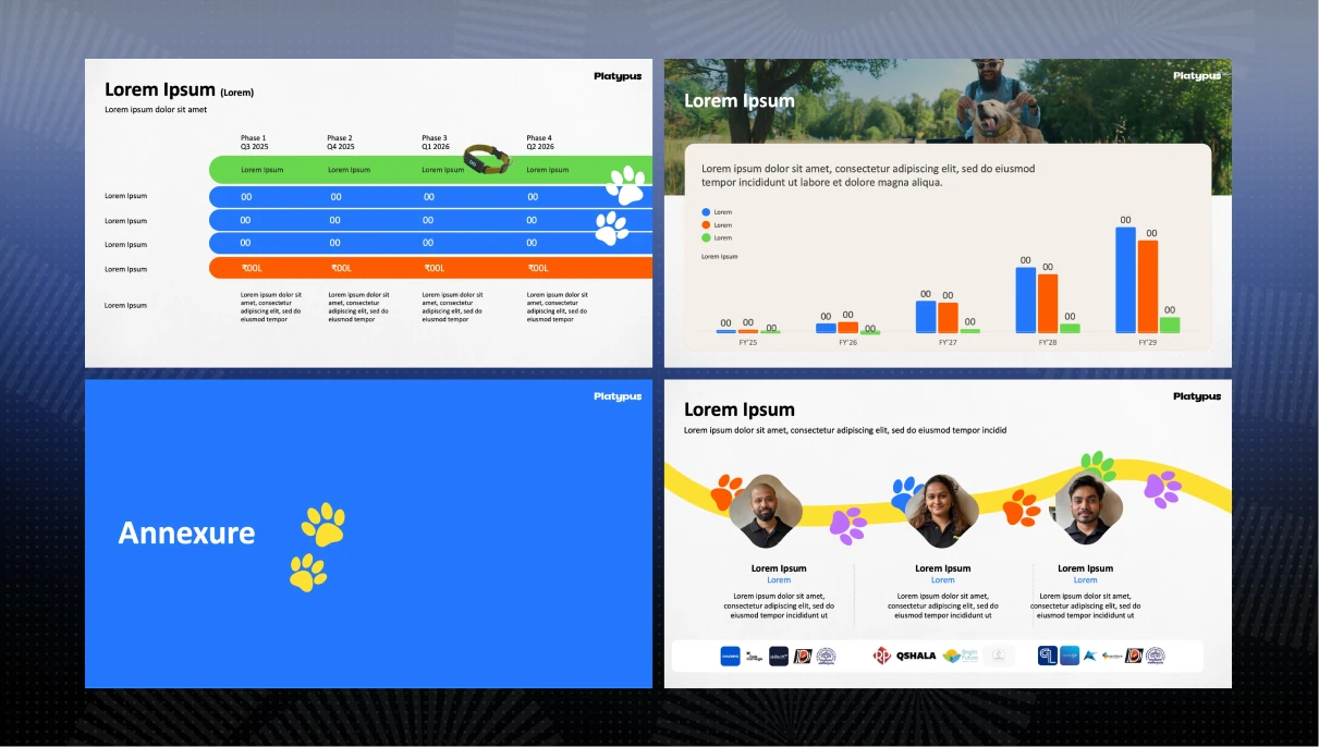 Platypus pitch deck slide 3