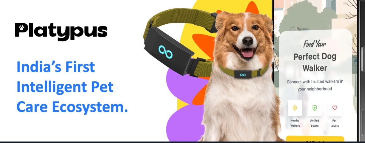 Fundraising Services for First Intelligent Pet Care Ecosystem case study
