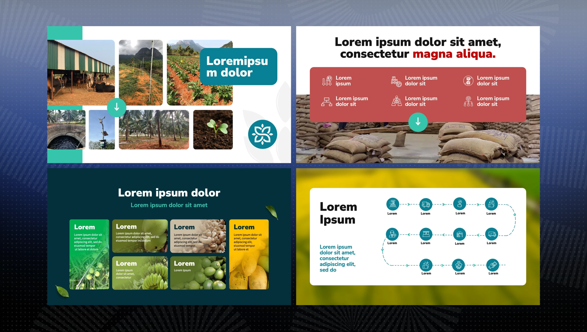 Shine Agrotechnology pitch deck slide 2