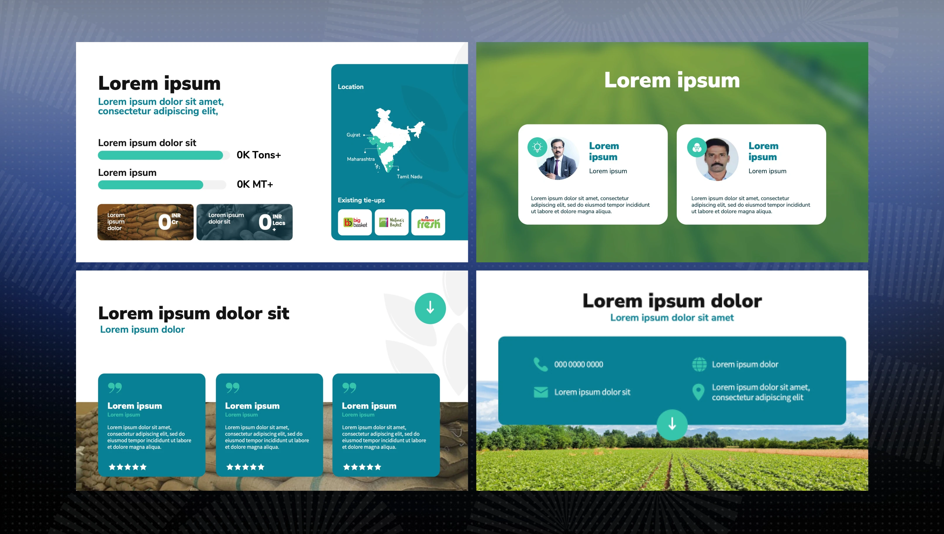 Shine Agrotechnology pitch deck slide 3