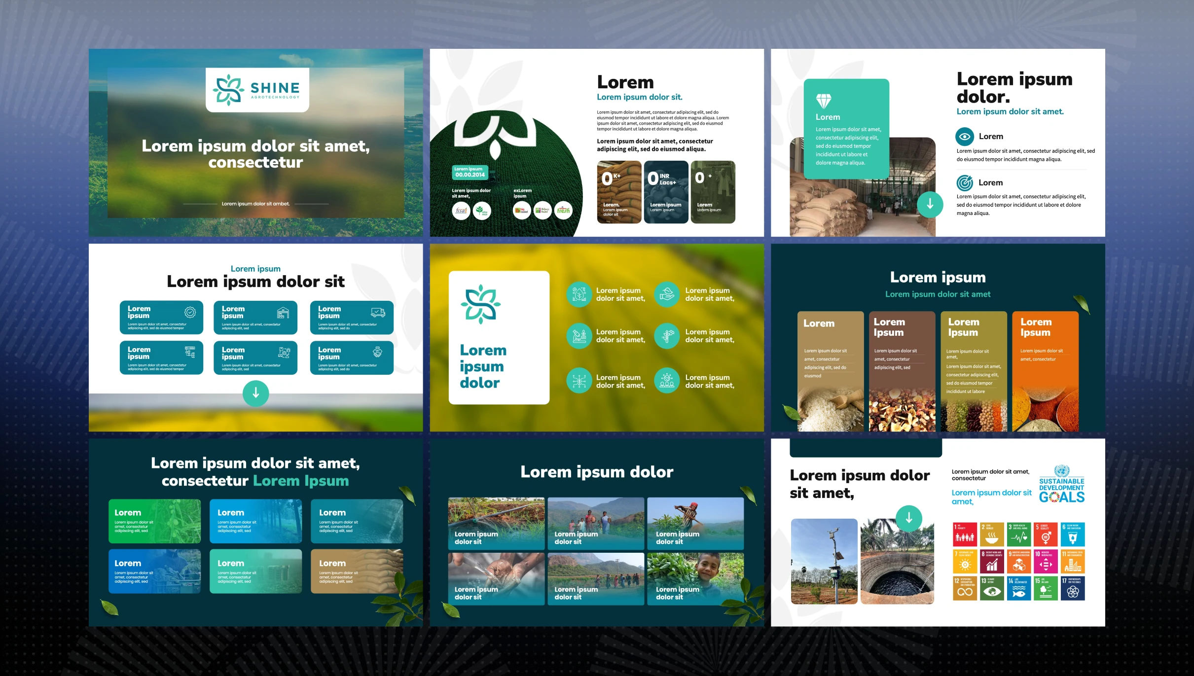 Shine Agrotechnology pitch deck slide 1