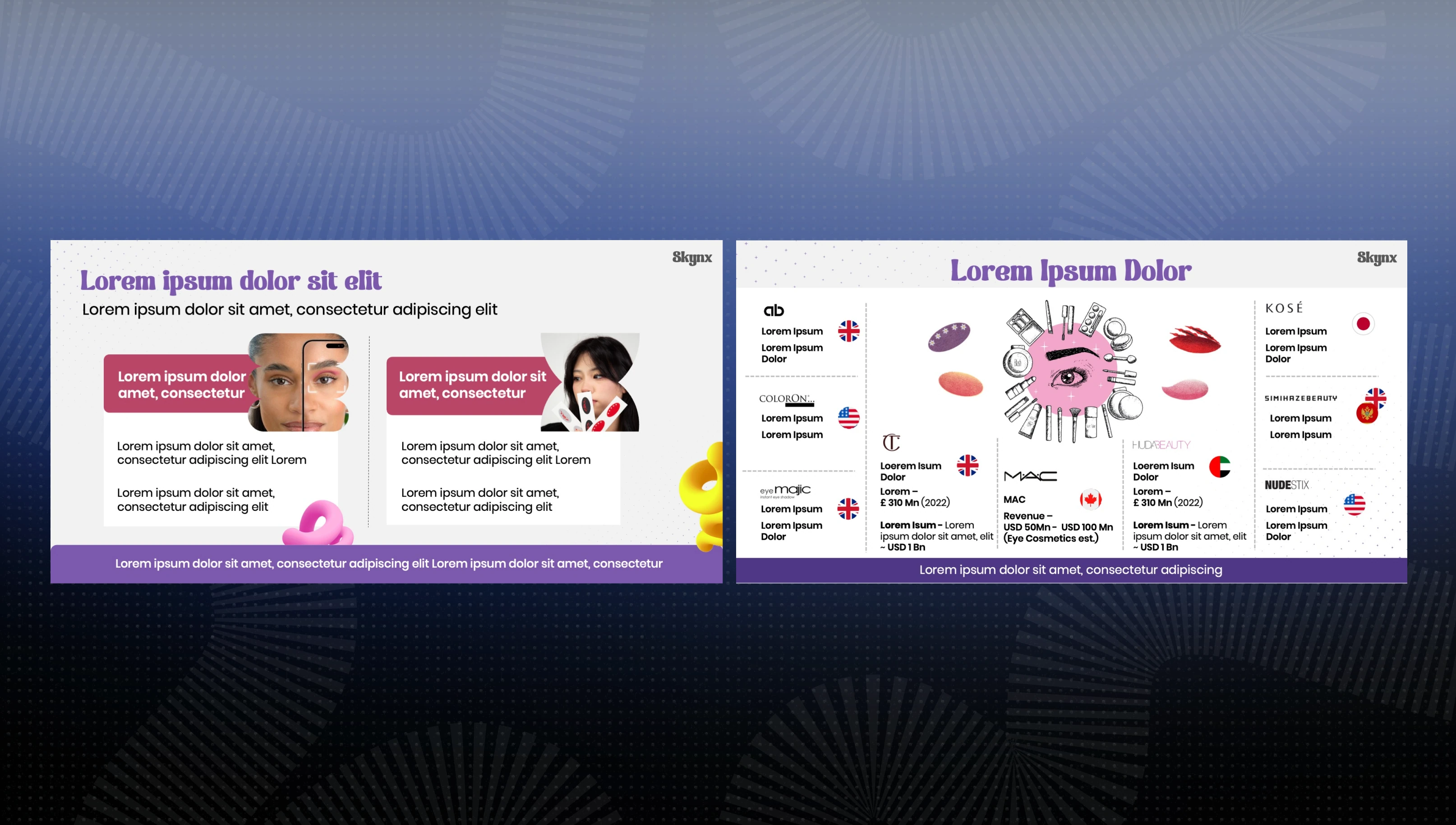 Skynx pitch deck slide 3