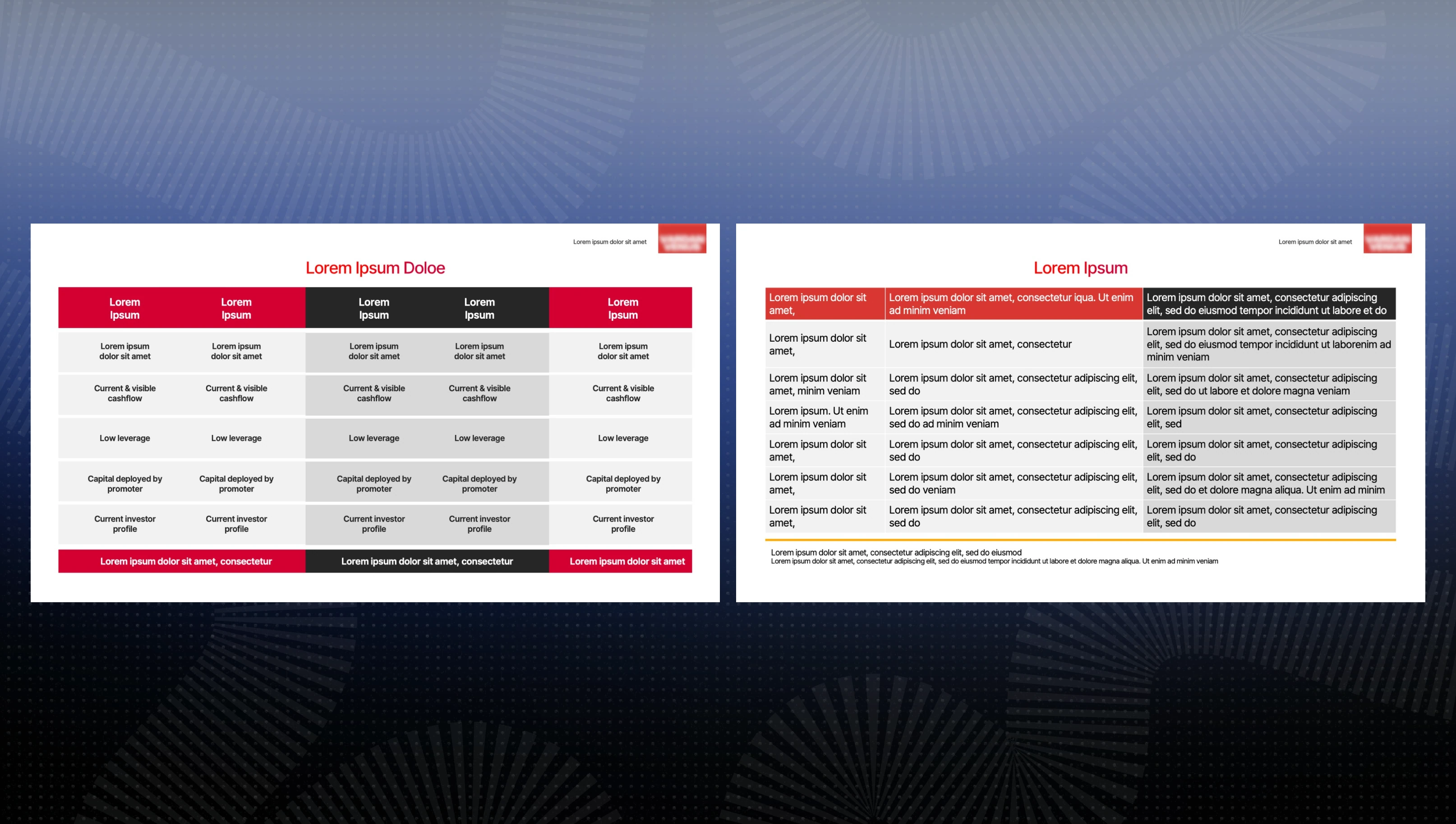 Venture Debt Fund pitch deck slide 3